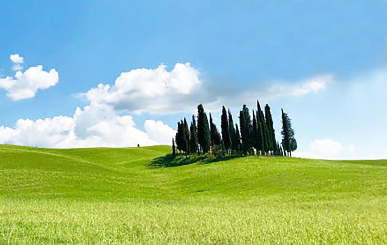 La Casa Nel Poggio 247 Vicino A Siena Apartamento Ponte a Tressa Exterior foto